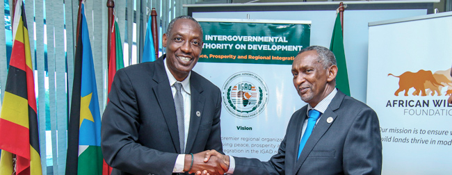 AWF partners with governments and African development agencies Photo of AWF CEO Kaddu Sebunya signing MoU with Intergovernmental Authority on Development