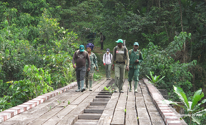 SMART CyberTracking keeps wildlife safe SMART CyberTracking keeps wildlife safe