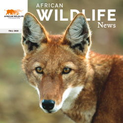 Publication cover.