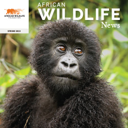 Publication cover.