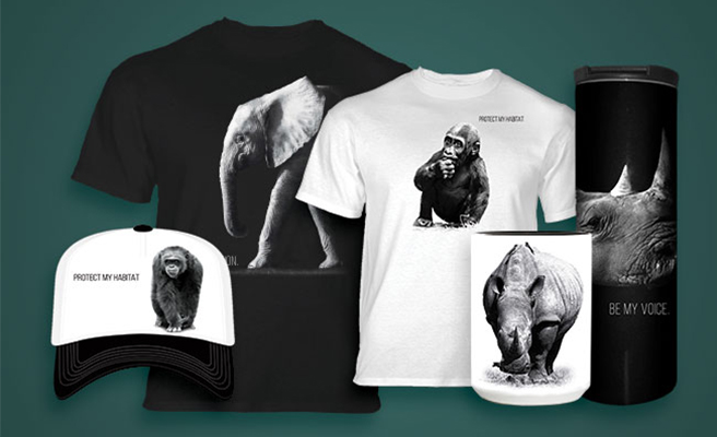 Image of The Mountain's AWF collection. Image of The Mountain's AWF collection.