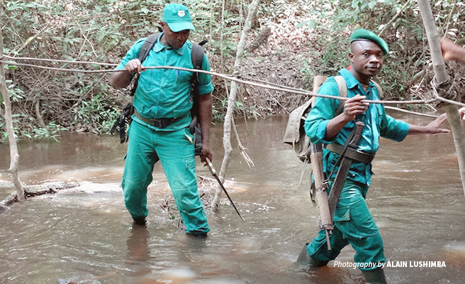 Photo of rangers in Dja Faunal Reserve crossing river during routine patrols Photo of rangers in Dja Faunal Reserve crossing river during routine patrols