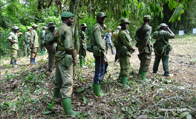 Photo of ecoguard squad in Bili-Uele landscape undergoing training with AWF support Photo of ecoguard squad in Bili-Uele landscape undergoing training with AWF support