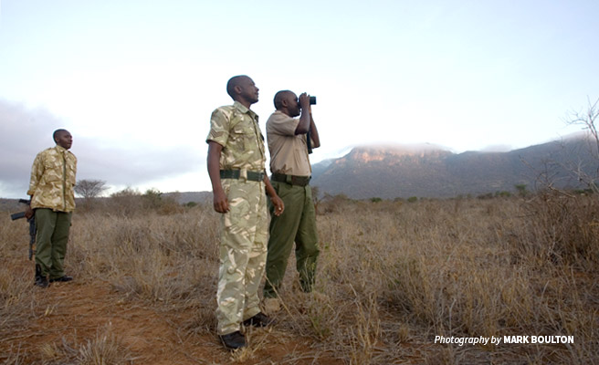 Photo of three wildlife rangers conducting a morning patrol in Tsavo, Kenya Photo of three wildlife rangers conducting a morning patrol in Tsavo, Kenya