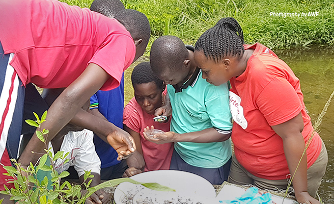 Photo of water-users standing in river testing river health using simple bioassessment tool in Kilombero