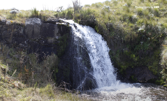 Photo of small waterfall in savannah grassland landscape in southern Tanzania Photo of small waterfall in savannah grassland landscape in southern Tanzania