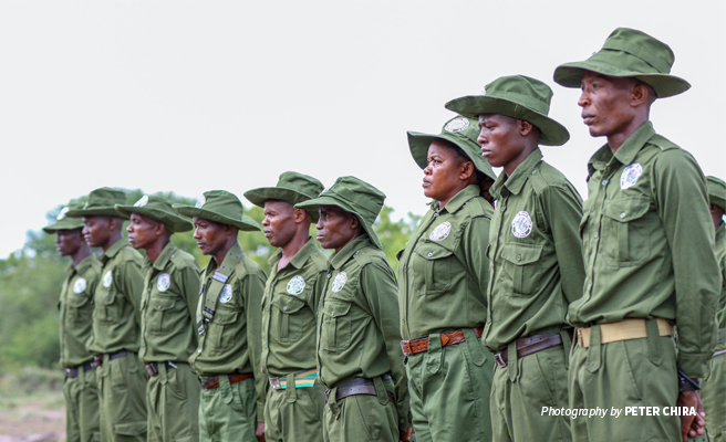 Photo of AWF-trained community wildlife conservation scouts at graduation in Tanzania Photo of AWF-trained community wildlife conservation scouts at graduation in Tanzania