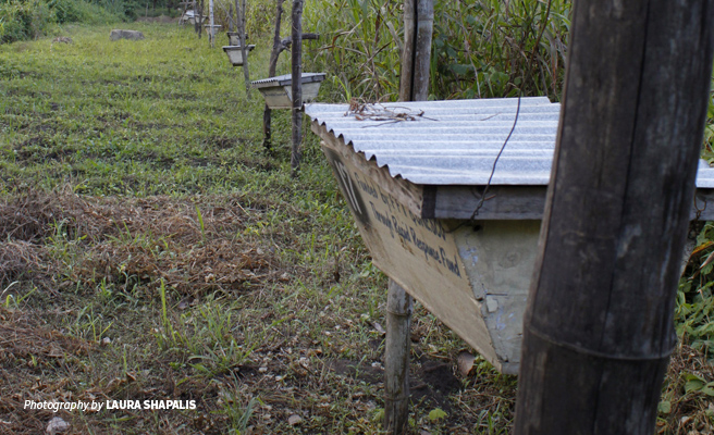 Close-up photo of a beehive installed on a fence between a protected forest and community lands in Southern Tanzania