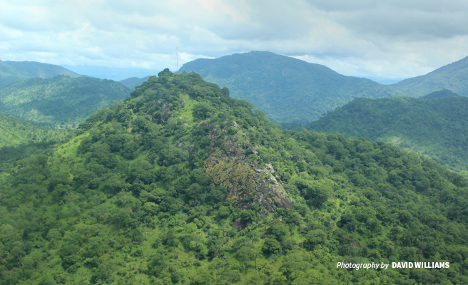 The highlands of Southern Tanzania harbor major water catchments, a dense forest cover both on reserve and community land, and rich biodiversity Photo of Udzungwa Mountains landscape in wildlife-rich Southern Tanzania
