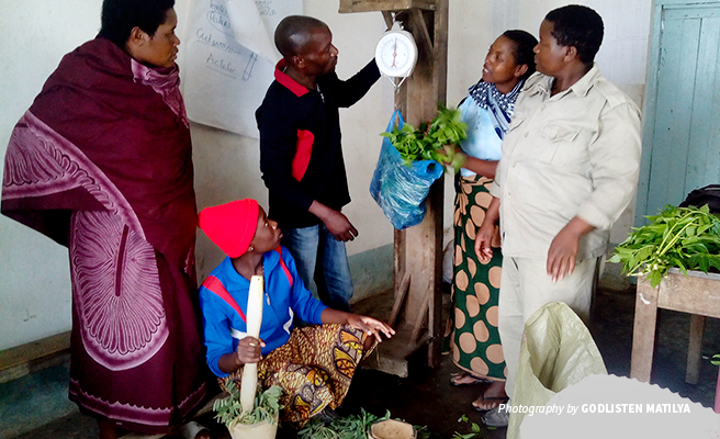 Photo of female farmers being trained on making organic pesticides from natural materials Photo of female farmers being trained on making organic pesticides from natural materials