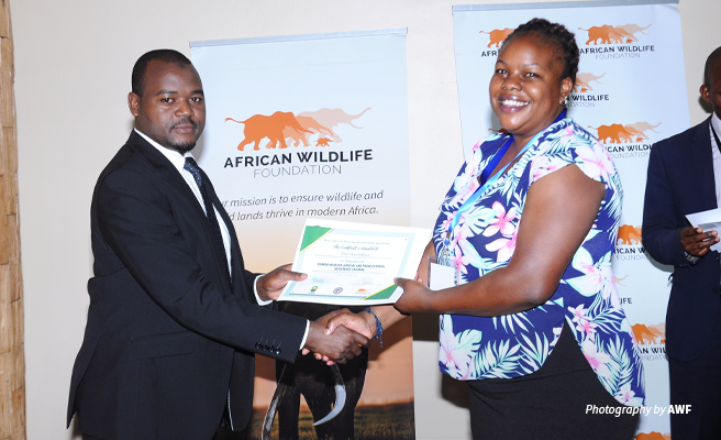 Photo of AWF and UWA representatives receiving certificate of participation in AWF Canine Evidence Retreat in Uganda Photo of AWF and UWA representatives receiving certificate of participation in AWF Canine Evidence Retreat in Uganda