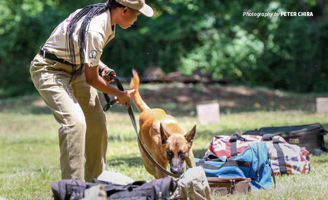Photo of AWF-trained sniffer dog and handler demonstrating luggage inspection