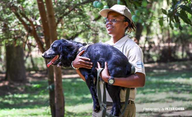Photo of sniffer dog and handler trained through AWF's Canines for Conservation Photo of sniffer dog and handler trained through AWF's Canines for Conservation