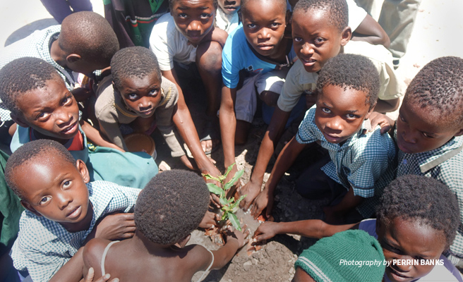 Photo of Lupani Community School students planting a seedling