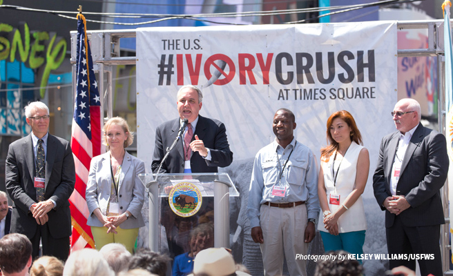 Photo of AWF's Jimmiel Mandima with conservation partners at the 2015 Ivory Crush in New York Photo of AWF's Jimmiel Mandima with conservation partners at the 2015 Ivory Crush in New York