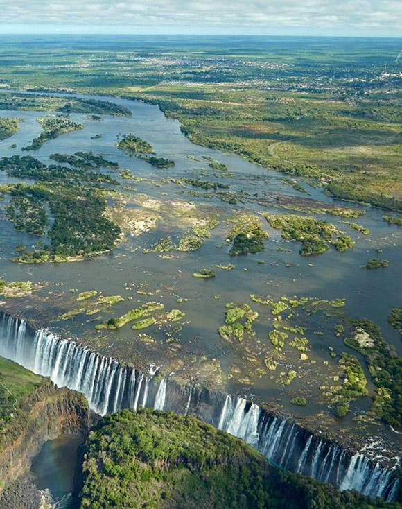 Home | African Wildlife Foundation