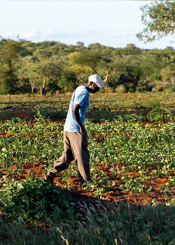 A person walking through a field.