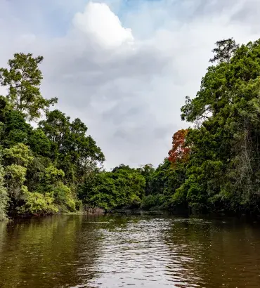 Cameroon landscape