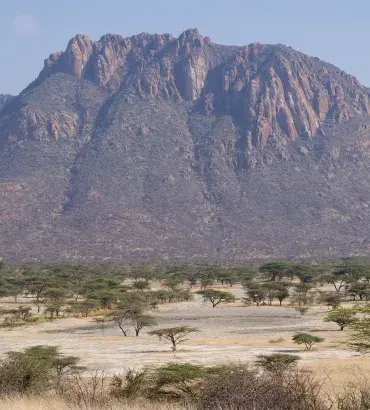 Kenya landscape