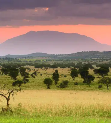 Kidepo landscape