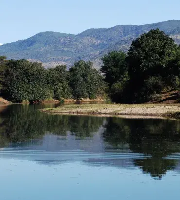 Mid-zambezi landscape