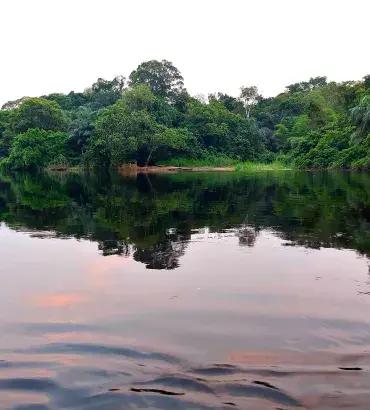 Margina-Lopori-Wamba landscape