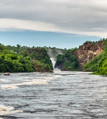 Murchison landscape