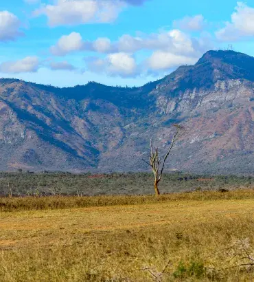 Tsavo landscape