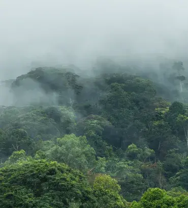 Uganda landscape