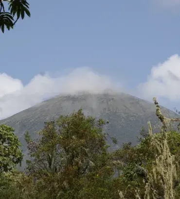 Virungas landscape