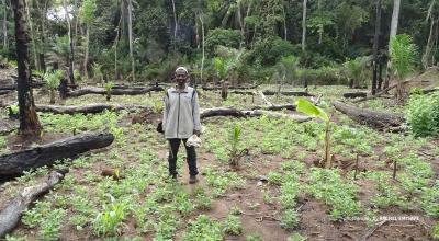 Farmer Raymond Sango in his field in Bili, DRC