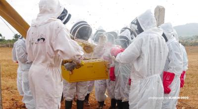 Beekeeping training in Tsavo