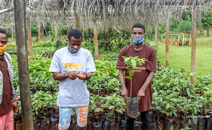 Photo of non-timber forest product exchange program between Dja and Campo