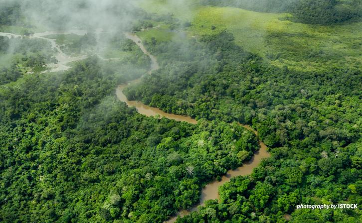 Aerial shot of Congo Basin rainforest