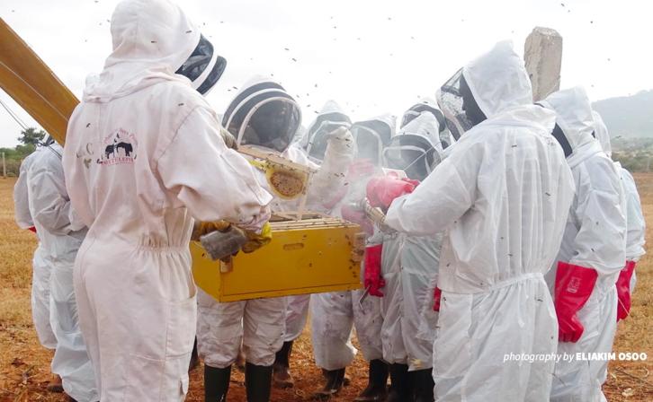 Beekeeping training in Tsavo