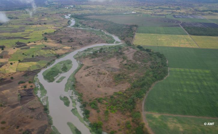 Landscape shot of a river.