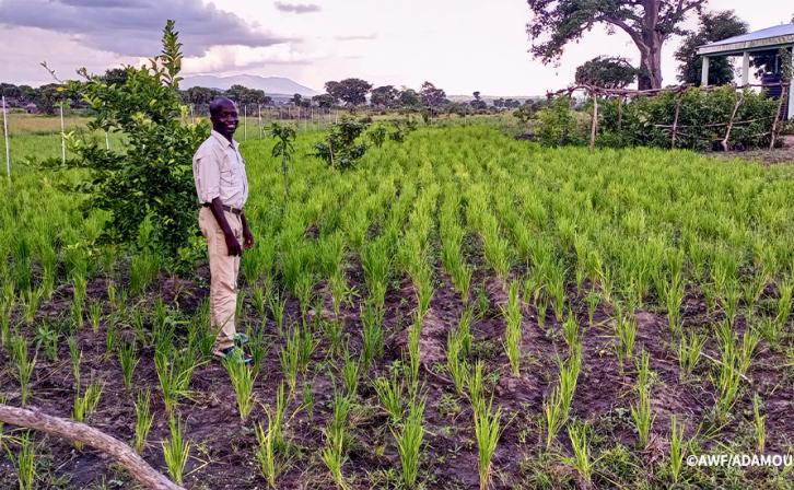 A man stands in a garden.