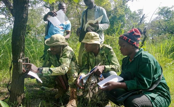 Ecoguards collecting data during Willdlife Survey