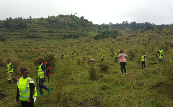 Youth Volunteers help plant indigenous bamboo in Volcanoes National Park, Rwanda.