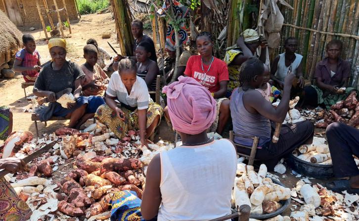 Women working together in the Bili-Uélé landscape, DRC.