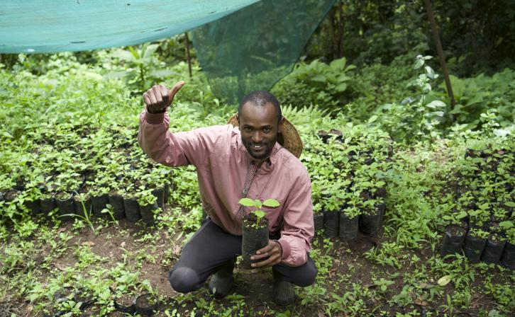 Ernest Maghanga, Chairperson of the Vuria Community Forest Association, at a tree nursery. 