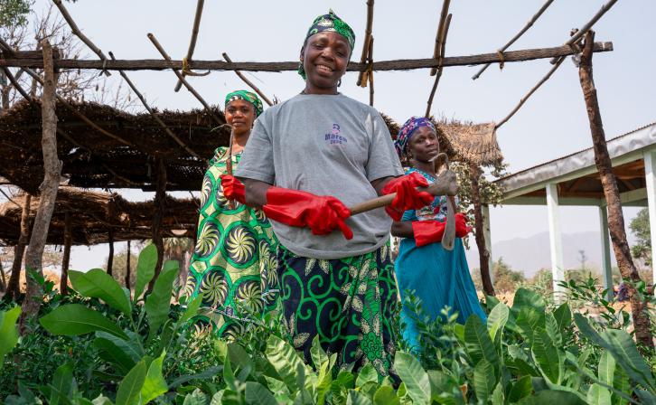 A photo of women farmers in Cameroon.
