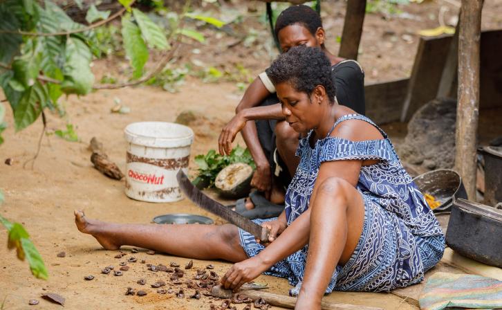 The forest serves as a source of food and medicine to the Indigenous community in Nyamabande, Campo Ma'an landscape, South Cameroon. © Vanilla Boi Studios 
