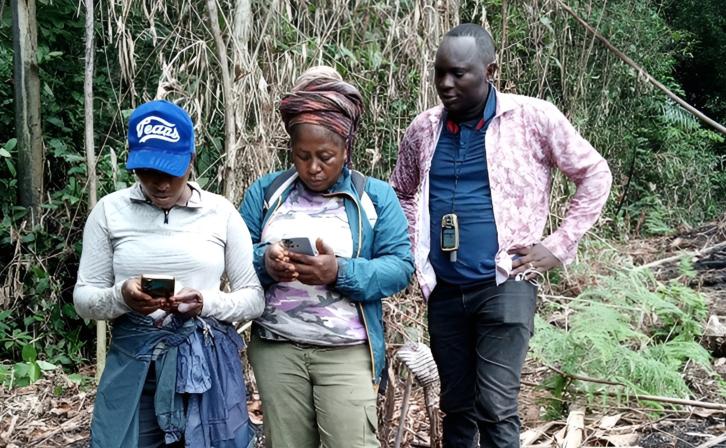 After a training, eco-guards from the Lomako-Yokokala Faunal Reserve verify and analyze deforestation alerts detected through the Global Forest Watch platform. © OGF