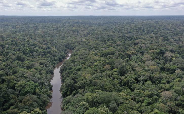 The Dja Faunal Reserve in Cameroon. © Guerchom Ndebo
