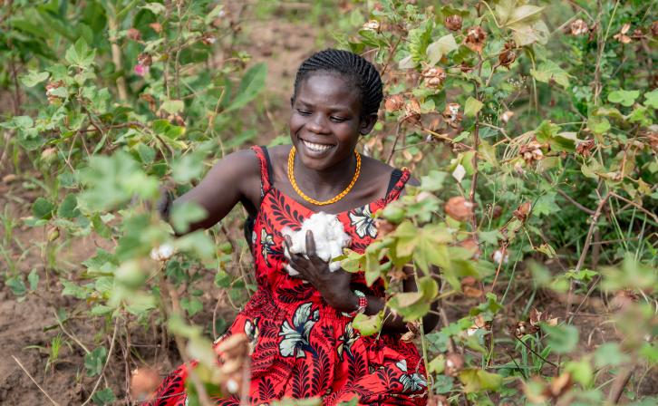Hellen Nakwang of Karenga District, Uganda harvests cotton on her farm. © AWF