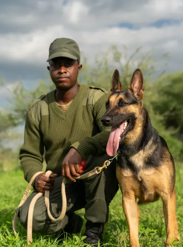 canine and handler team
