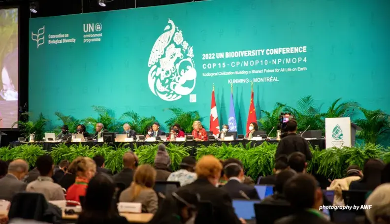 Photo of panel at COP15