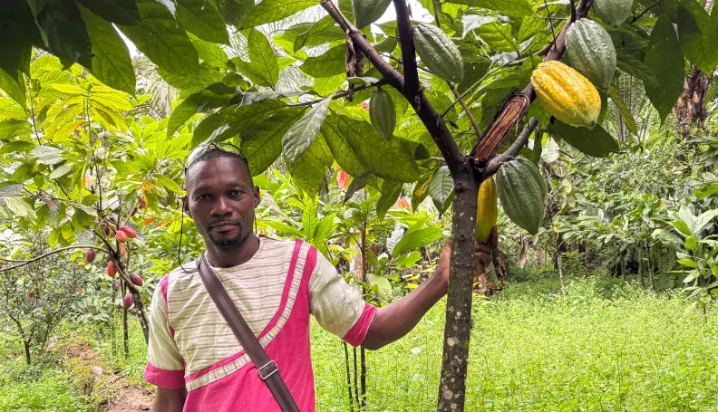 Zamo Yves standing in his 3.5 hectare cocoa farm in Nnemeyong in Southern Cameroon