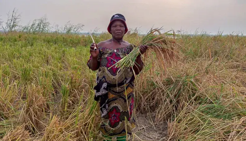 Aminatou Koffa stands in her rice field after the harvest, with the surrounding mountains forming a quiet backdrop to her work.